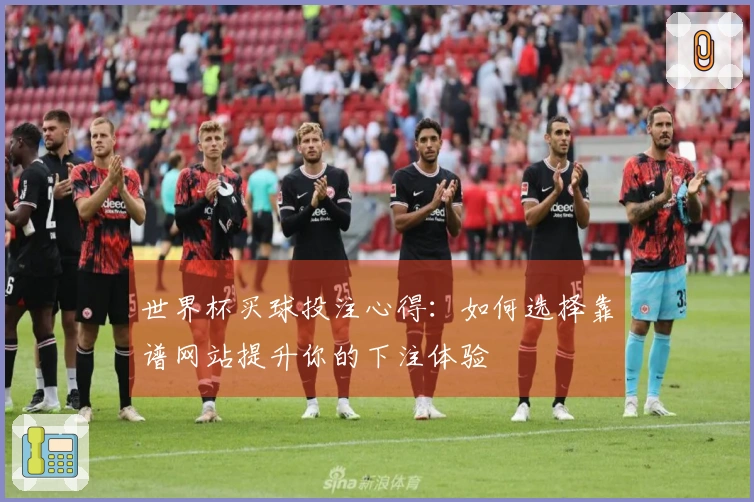 世界杯买球投注心得：如何选择靠谱网站提升你的下注体验