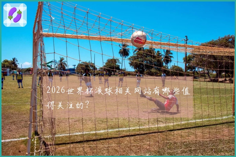 2026世界杯滚球相关网站有哪些值得关注的？